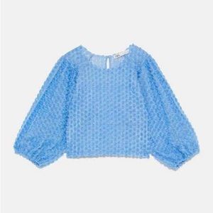 Zara blue floral puff-sleeves top